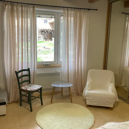 Na Mlejne Apartment